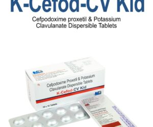 K-Cefod-Cv Kid