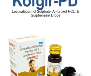 Kofgir-Pd