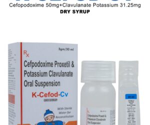 K-Cefod-CV