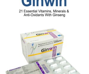 Ginwin